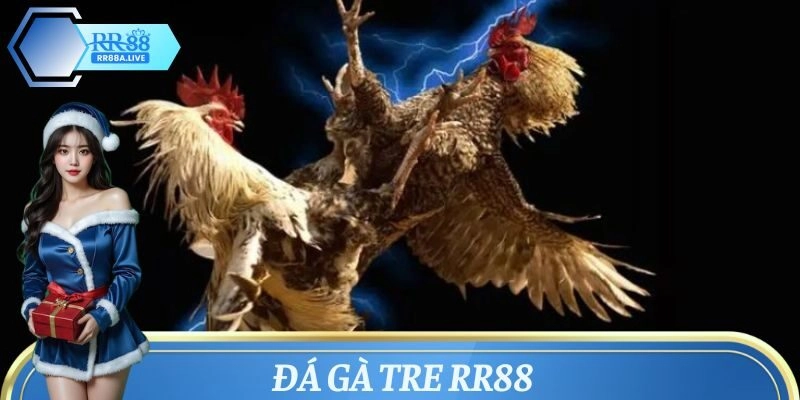 Đá Gà Tre – Trò Chơi Hút Hơn 1 Triệu Người Chơi Tham Gia