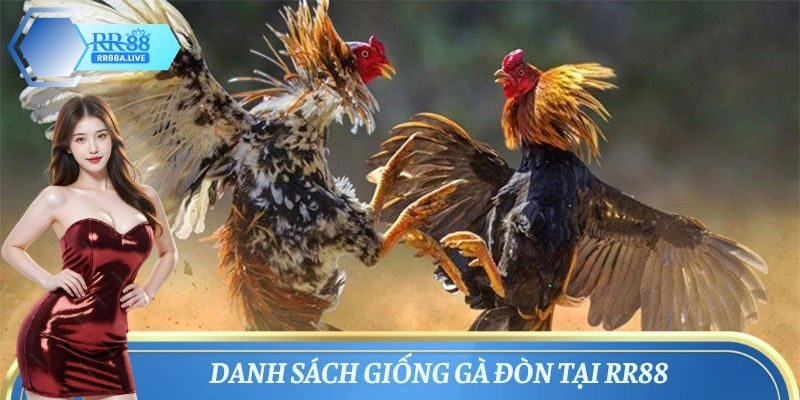 Tổng hợp giống gà đòn phổ biến